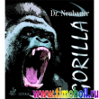 DR. NEUBAUER GORILLA
